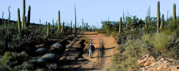 La utopia nos mantiene caminando